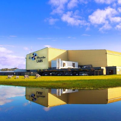 LabsIthemba's profile picture. 