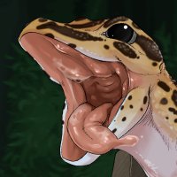 Nutty Mr Gecky (@nutty_mr_gecky) 's Twitter Profile Photo Nutty Mr Gecky (@nutty_mr_gecky) 's Twitter Profile Photo