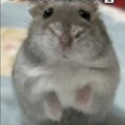 _publicschools's profile picture. 