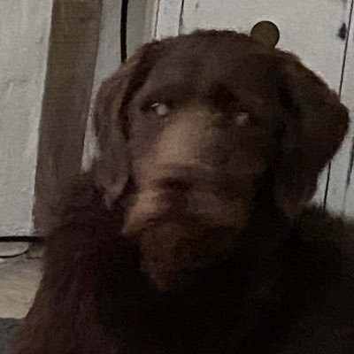 paulfromtw's profile picture. an avid observer of life and twitter