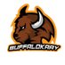BuffaloKaay 🦬 3️⃣ (@BuffaloKaay) Twitter profile photo