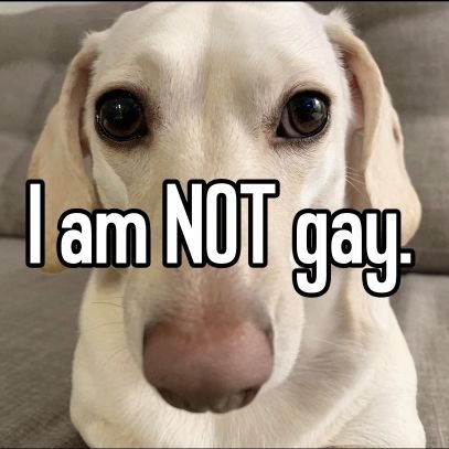 H0mophobic dog. 
(joke account)
Fonts dni. NSFW dni.

 //admin is a minor. uses any pronouns