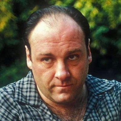 RonySoprano8's profile picture. Proud American Israeli 🇺🇸🇮🇱. What happened to the strong silent type?