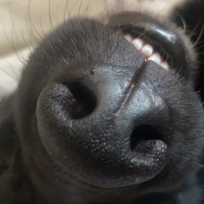 dakota_doane's profile picture. 