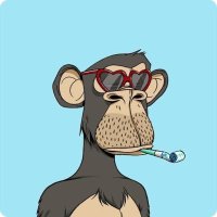 Operator (@operatorbln) 's Twitter Profile