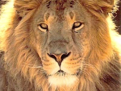 0marquinho's profile picture. Eu sou fogo http://t.co/P6JotjzPkq