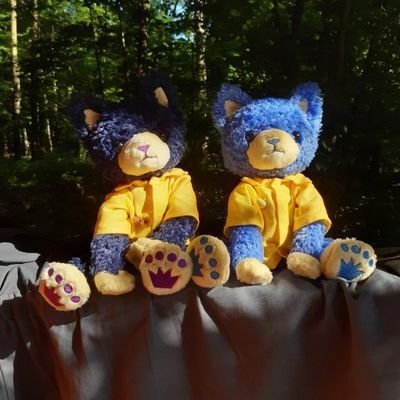 Hikkkaru | хокютокюнさんのプロフィール画像