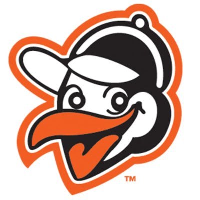 #Birdland #ravensflock