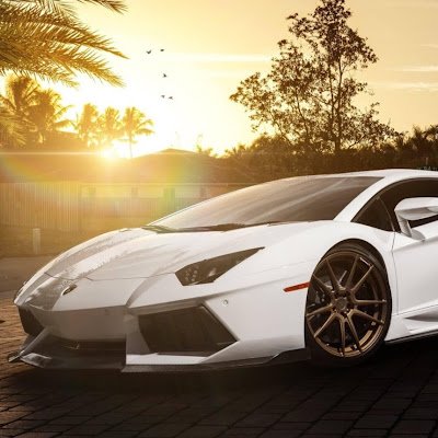 SergioR06627898's profile picture. 