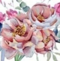 ashqtal29192371's profile picture. 