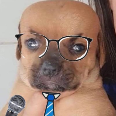 ERROR 404: Description not found in file server local//:008241.xml