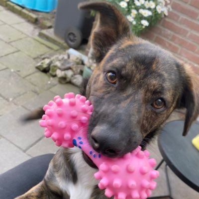 AMBRSRMNI's profile picture. 