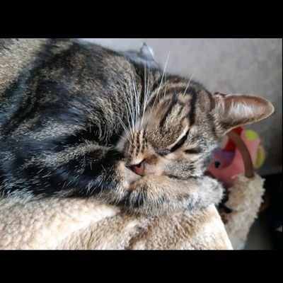 gena_sports_man's profile picture. 🌍  | Цікавлюсь криптовалютами та сучасними трендами 🌐 | Люблю аналізувати актуальні події та ділитися ідеями 💡 | Завжди