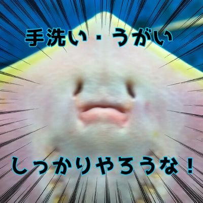 わんぱくよしと団さんのプロフィール画像