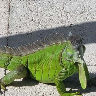 RCWilson1's profile picture. 