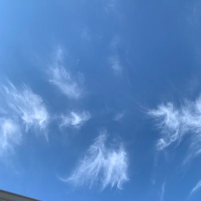 BeingPositiveB's profile picture. Thoughts become things. If you see it in your mind, you will hold it in your hand.  Positive Vibes. Love and Light to all! 🙏❤️