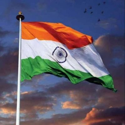 bhutadapurva10's profile picture. 🤍