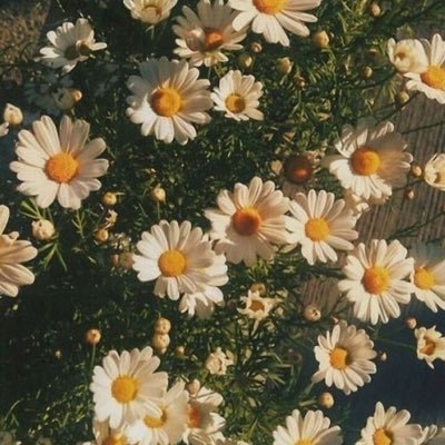 ——fan account for all things music related——