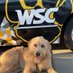 WSullyC (@wsullyc) Twitter profile photo WSullyC (@wsullyc) Twitter profile photo