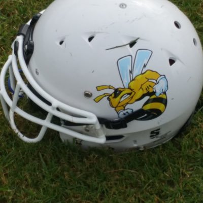 DonRobertsjr47's profile picture. I love football