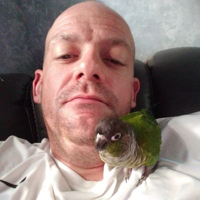 dumbass here with my bird, no i dont kiss it, no i dont try to have sex or eat his poop. i am totally normal and im going to miss the little bastard soon when m