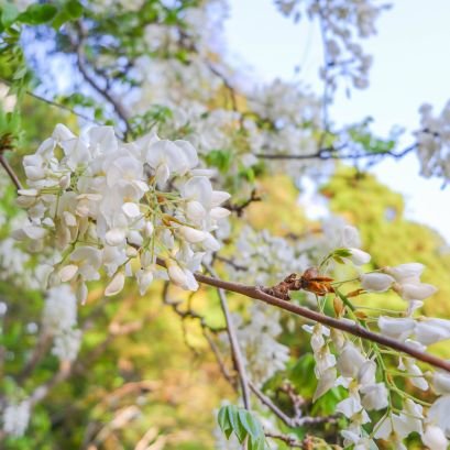 2711fromscratch's profile picture. 路傍の意思