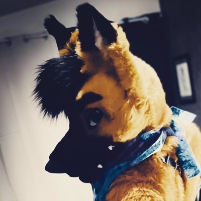 The_Foxy_Apollo Profile Picture