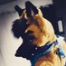 Apollo Shinn @FWA 25 & @MFF 25 (@the_foxy_apollo) Twitter profile photo Apollo Shinn @FWA 25 & @MFF 25 (@the_foxy_apollo) Twitter profile photo