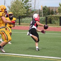 Lewc (@lewcrayner) 's Twitter Profile