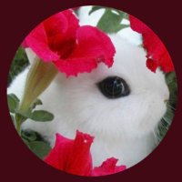 Katch22 🍊 (@kalyx2020) 's Twitter Profile Photo Katch22 🍊 (@kalyx2020) 's Twitter Profile Photo