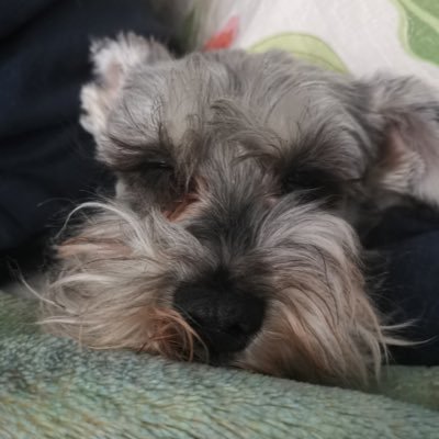 citlalicsg's profile picture. hoy me levanto más fuerte que ayer 💖