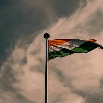 grishmajani212's profile picture. 