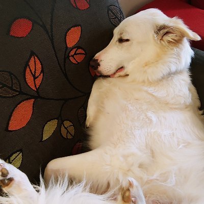 Sivan Lev-Eyal Profile