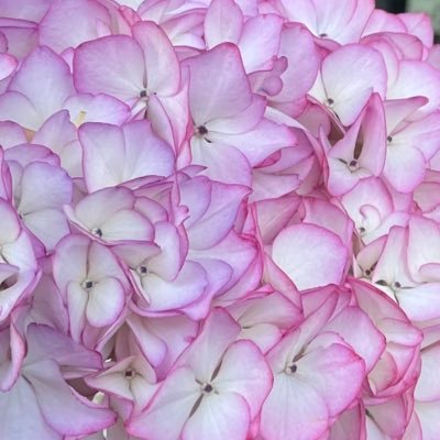 NgaBEVEnymLsifO's profile picture. 20↑