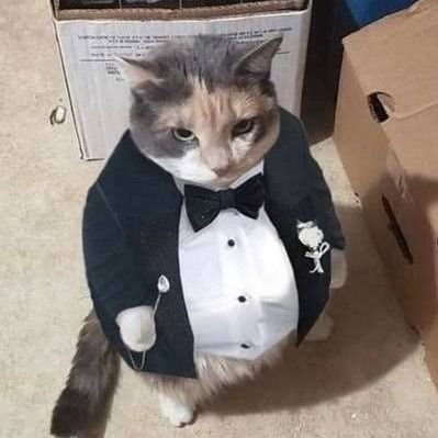 zarby007's profile picture. 