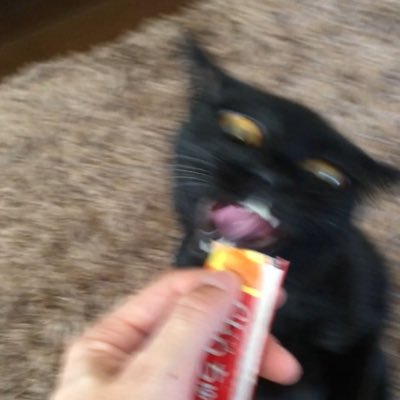 映像とビール