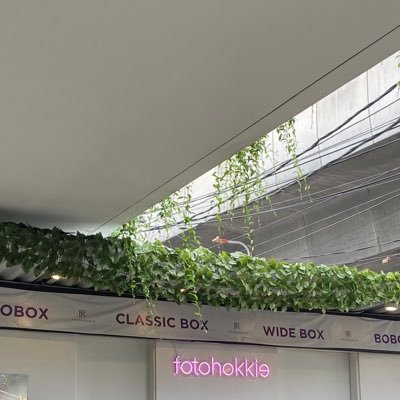 accowntancystud's profile picture. bismillah harvard