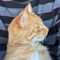 Jäger (@adwozn) 's Twitter Profile