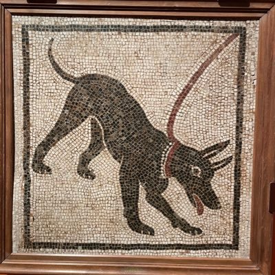 dounnt's profile picture. oosaka