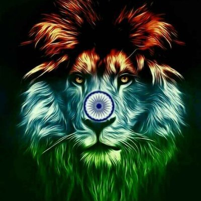 SKroar29's profile picture. Sr. Manager