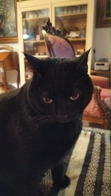 IsabelleP's profile picture. Que le passé ne fasse pas oublier que l'avenir existe et vice versa