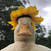 ๐๐ฎ๐ช ๐๐+ (@model3_r) 's Twitter Profile