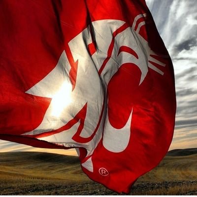 AhwatukeeCoug's profile picture. Go Cougs