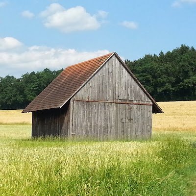 YvonneSchrmann2's profile picture. 