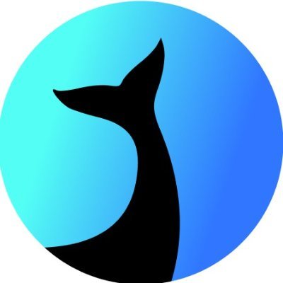 Discover trending NFT collections by tracking the wallets of the biggest whales in the space 🐳 Sign up for early access 👇