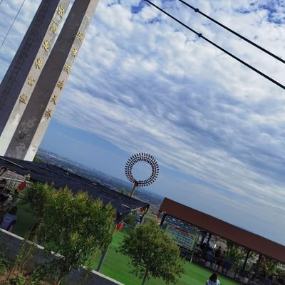 Vance710663701's profile picture. 我Wii我娃