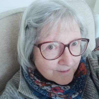 Sue 🌍🕷️ 😷#GTTO Profile