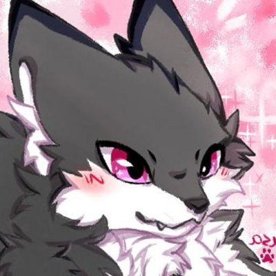 aofusaさんのプロフィール画像