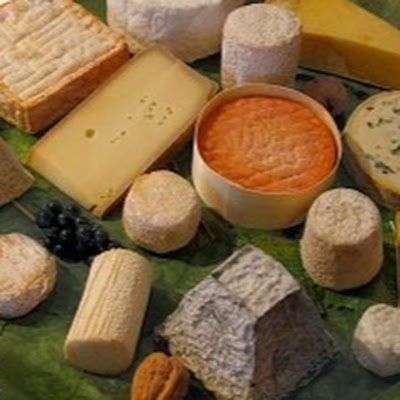 Hello Cheeseland Profile