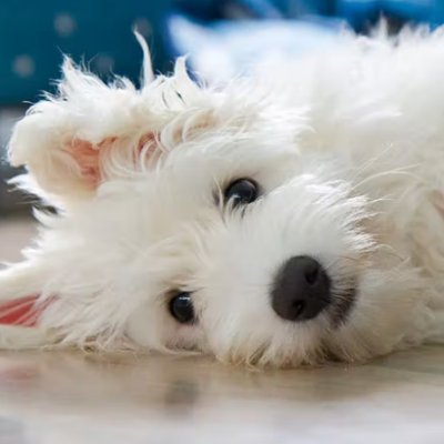 drinkwyd's profile picture. I coach fortnite